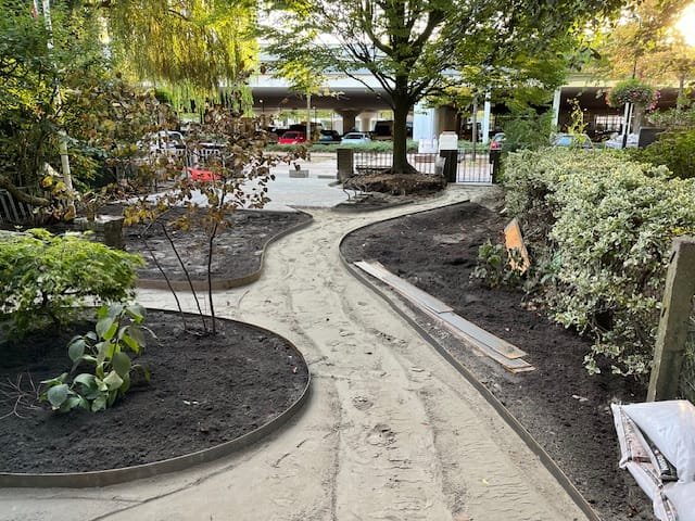 Curved garden path between planting beds with steel edging, fresh soil and young shrubs